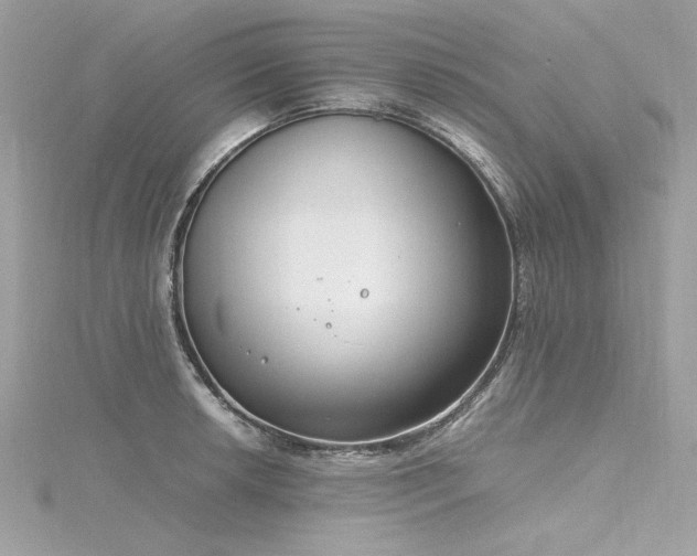 X0000116351042200912011406