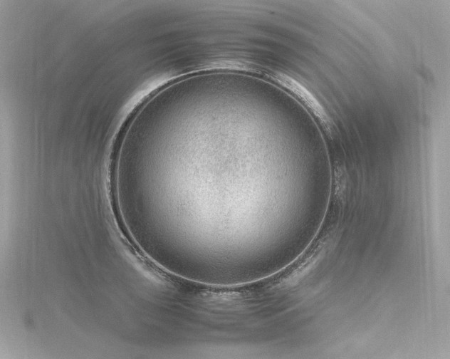 X0000116351043200912011406