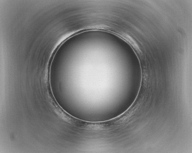 X0000116351044200912011406