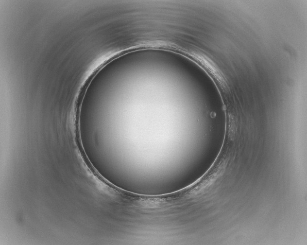 X0000116351046200912011406