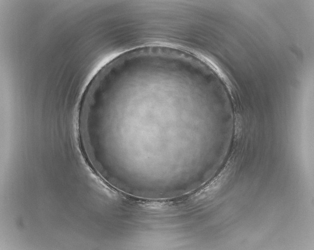 X0000116351048200912011406