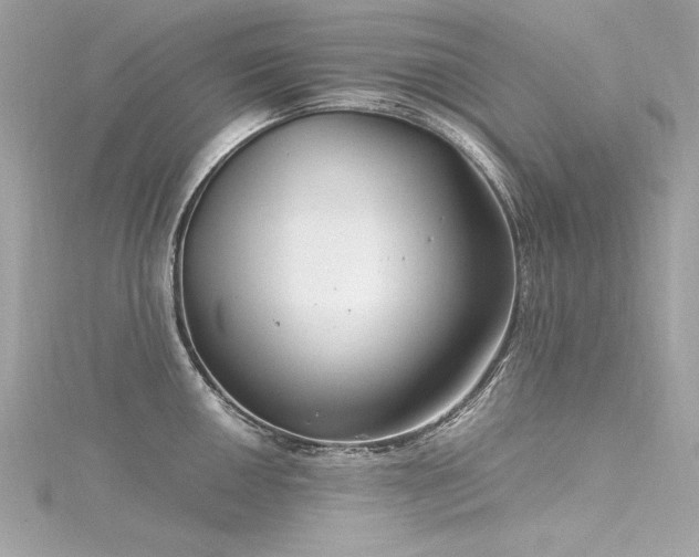 X0000116351050200912011406