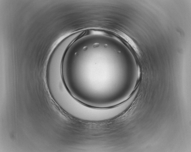 X0000116351051200912011406