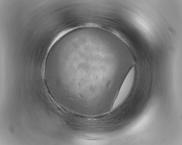 X0000116351052200912011406