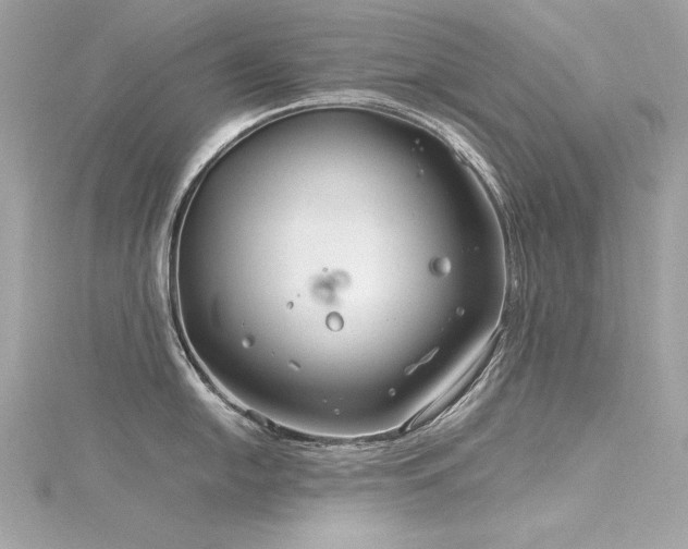 X0000116351054200912011407