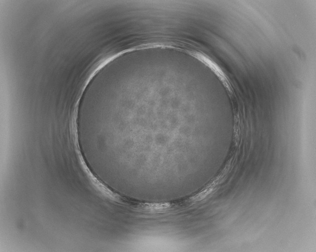 X0000116351055200912011407