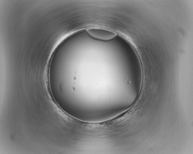 X0000116351056200912011407