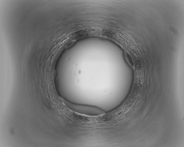 X0000116351057200912011406