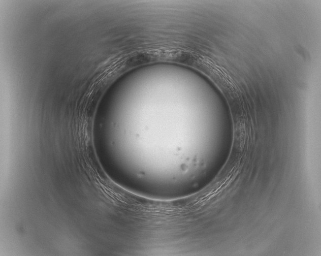 X0000116351058200912011406