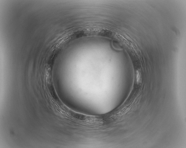 X0000116351059200912011406