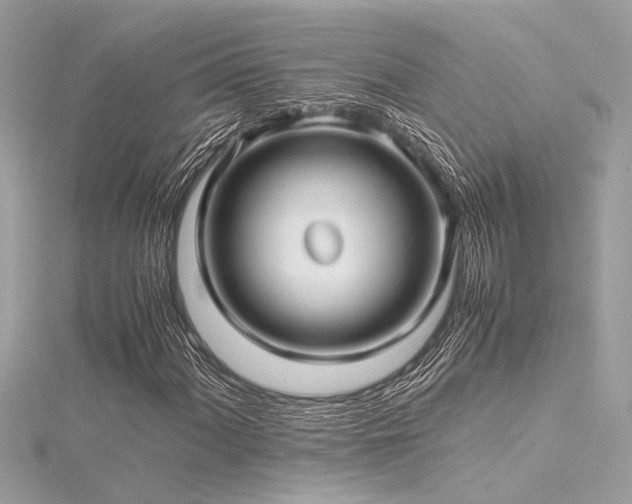 X0000116351060200912011406