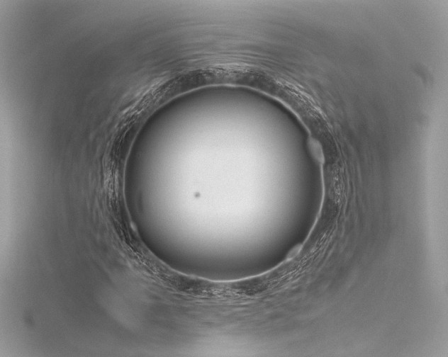 X0000116351061200912011406