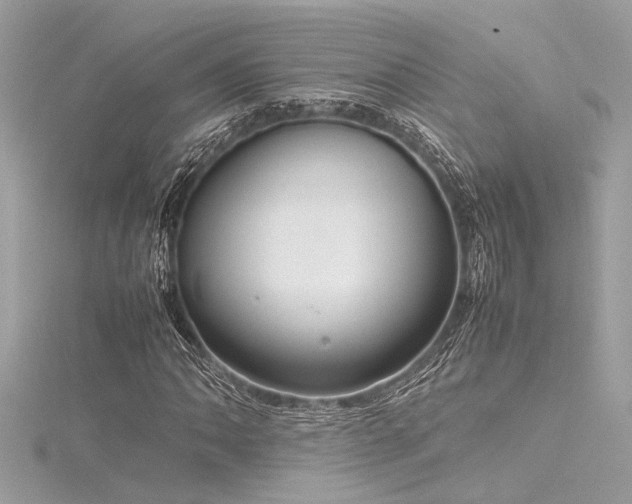 X0000116351062200912011406