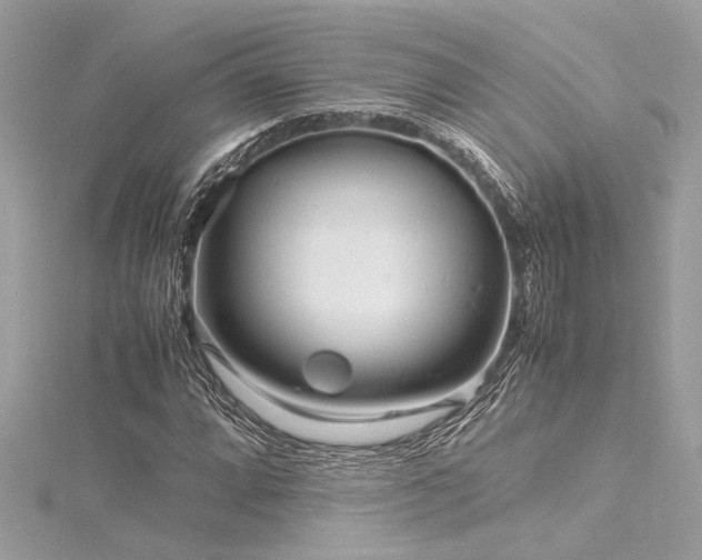 X0000116351064200912011406