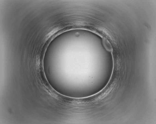 X0000116351065200912011406