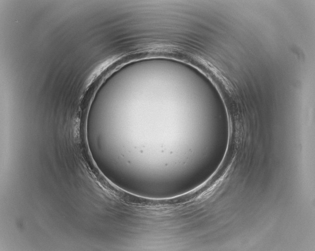 X0000116351066200912011406