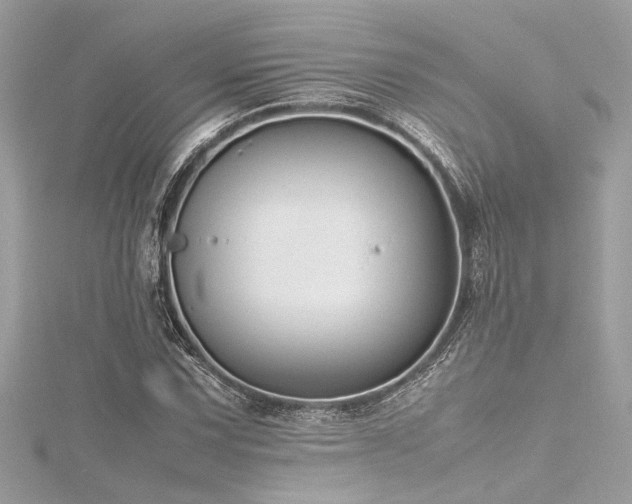 X0000116351067200912011406