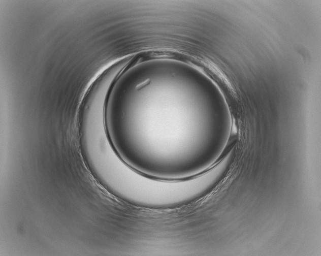 X0000116351068200912011406