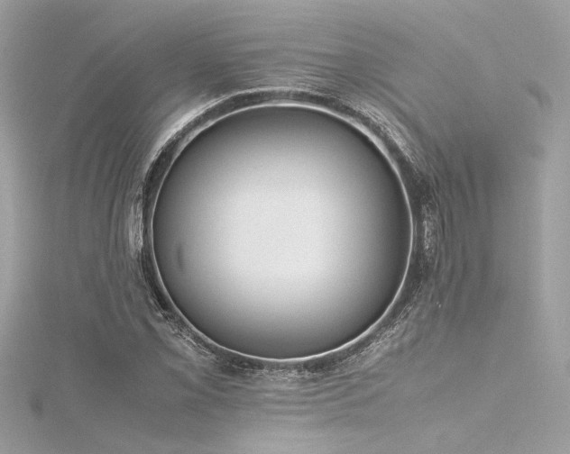 X0000116351069200912011406