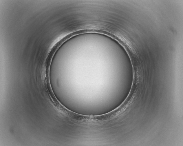 X0000116351070200912011406