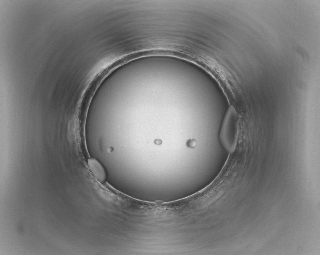 X0000116351072200912011406