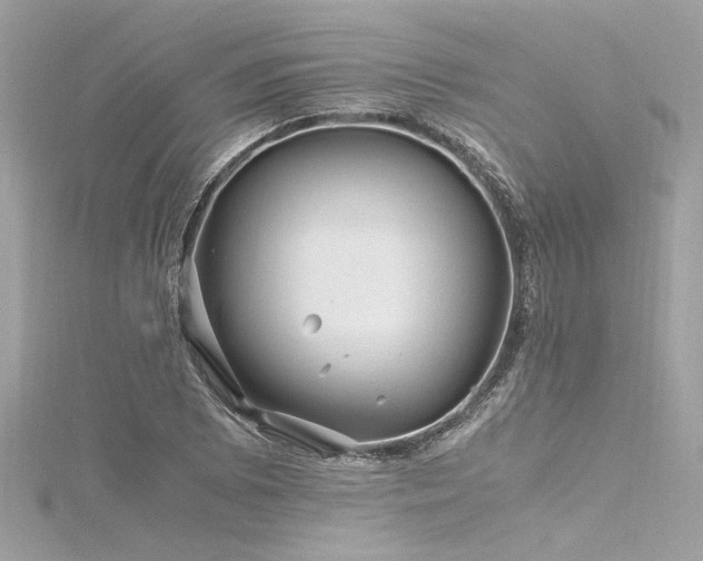 X0000116351073200912011406