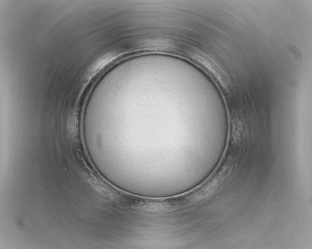 X0000116351074200912011406