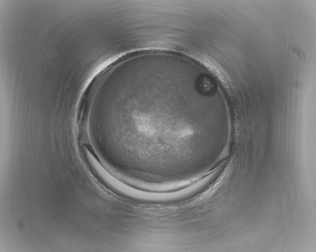 X0000116351077200912011406