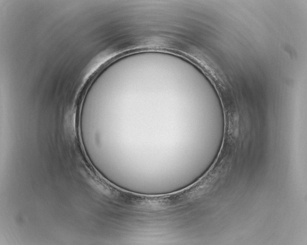 X0000116351078200912011406