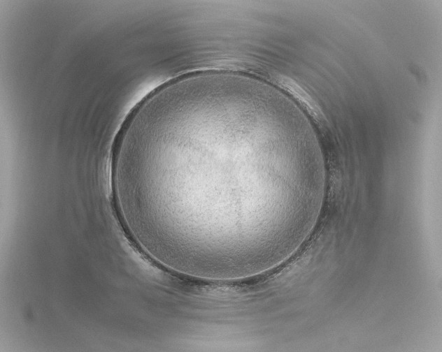 X0000116351079200912011406