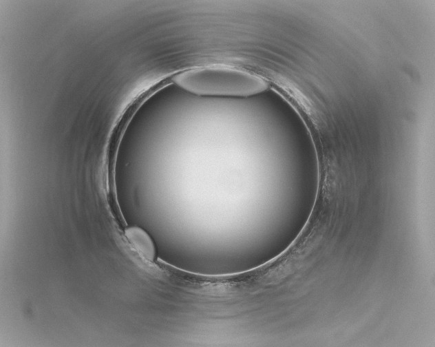 X0000116351080200912011406