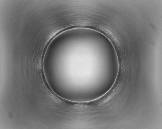 X0000116351081200912011406