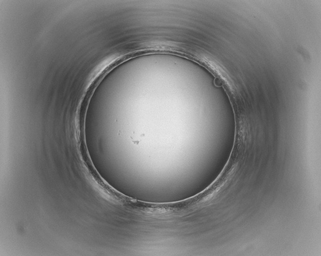 X0000116351082200912011406