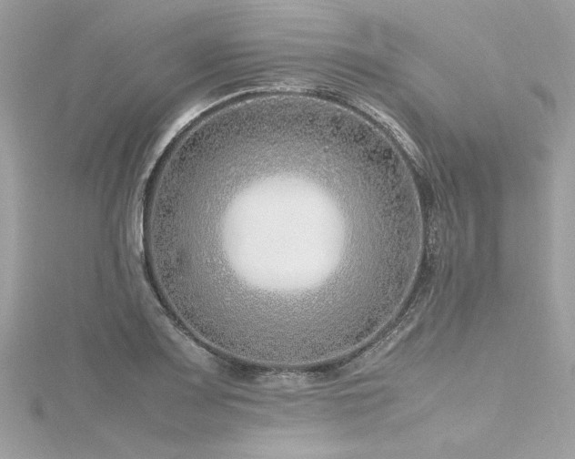 X0000116351083200912011406