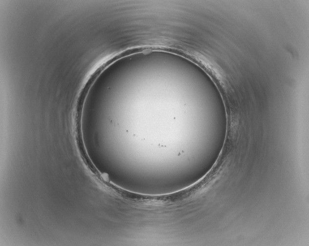 X0000116351085200912011406