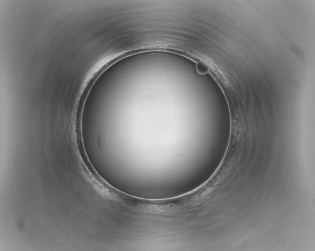 X0000116351086200912011406