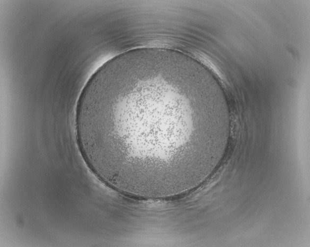 X0000116351087200912011406