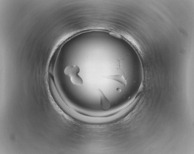 X0000116351088200912011406