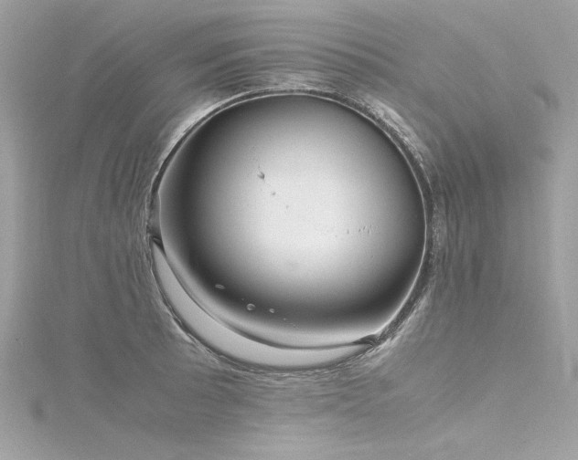 X0000116351089200912011406