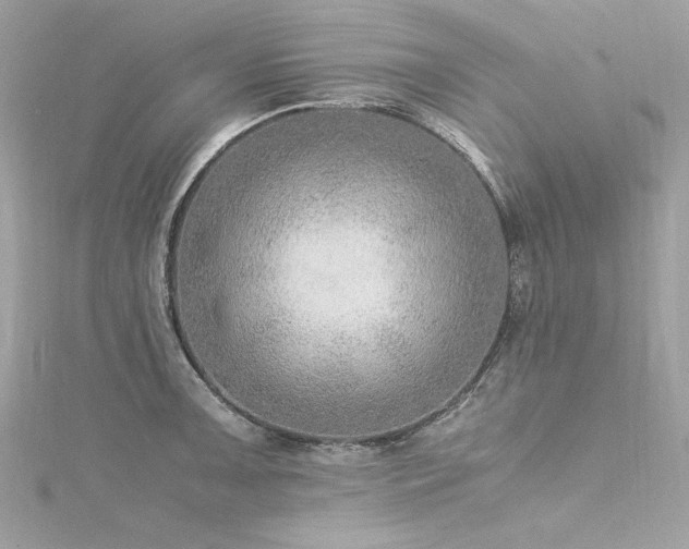 X0000116351091200912011405