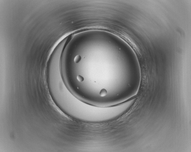 X0000116351092200912011405