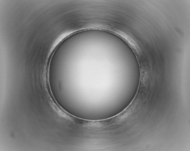 X0000116351094200912011405