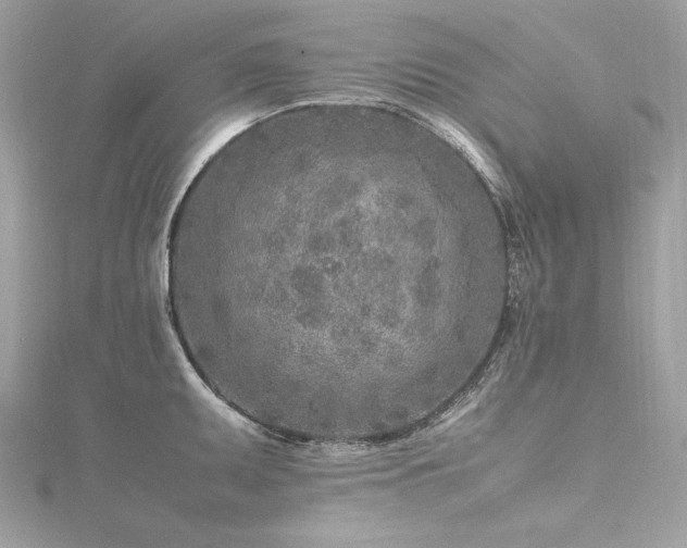 X0000116351095200912011405