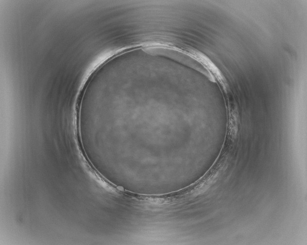 X0000116351096200912011405