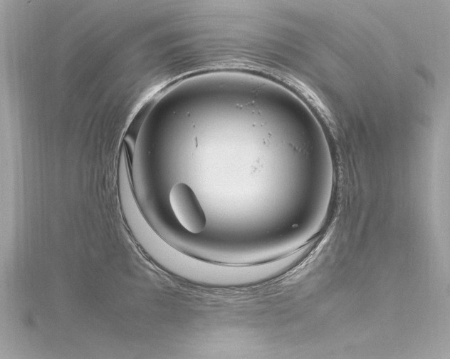 X0000116351097200912011405