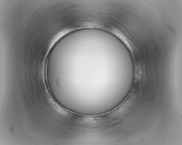 X0000116351098200912011405