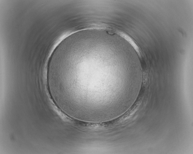 X0000116351099200912011405