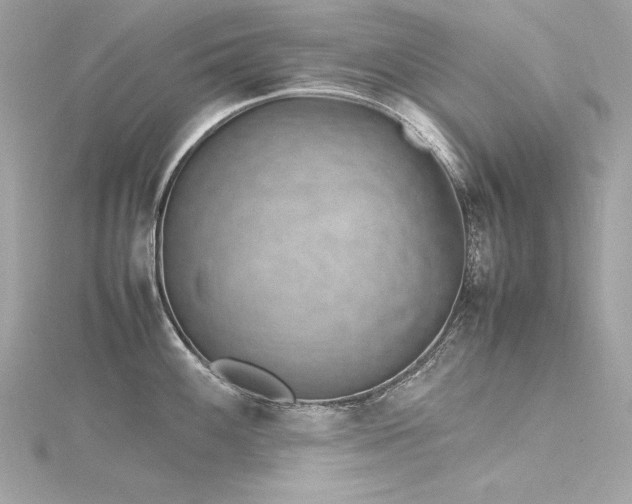 X0000116351100200912011405