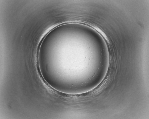 X0000116351101200912011405