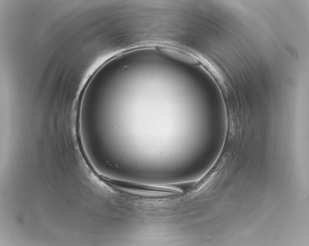 X0000116351102200912011405